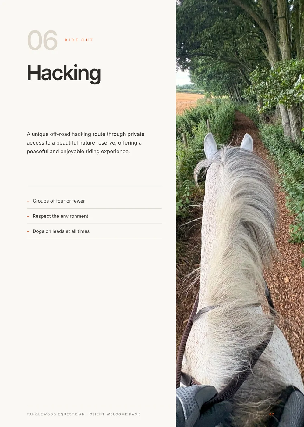 Hacking — a grey horse on an off-road trail through the nature reserve
