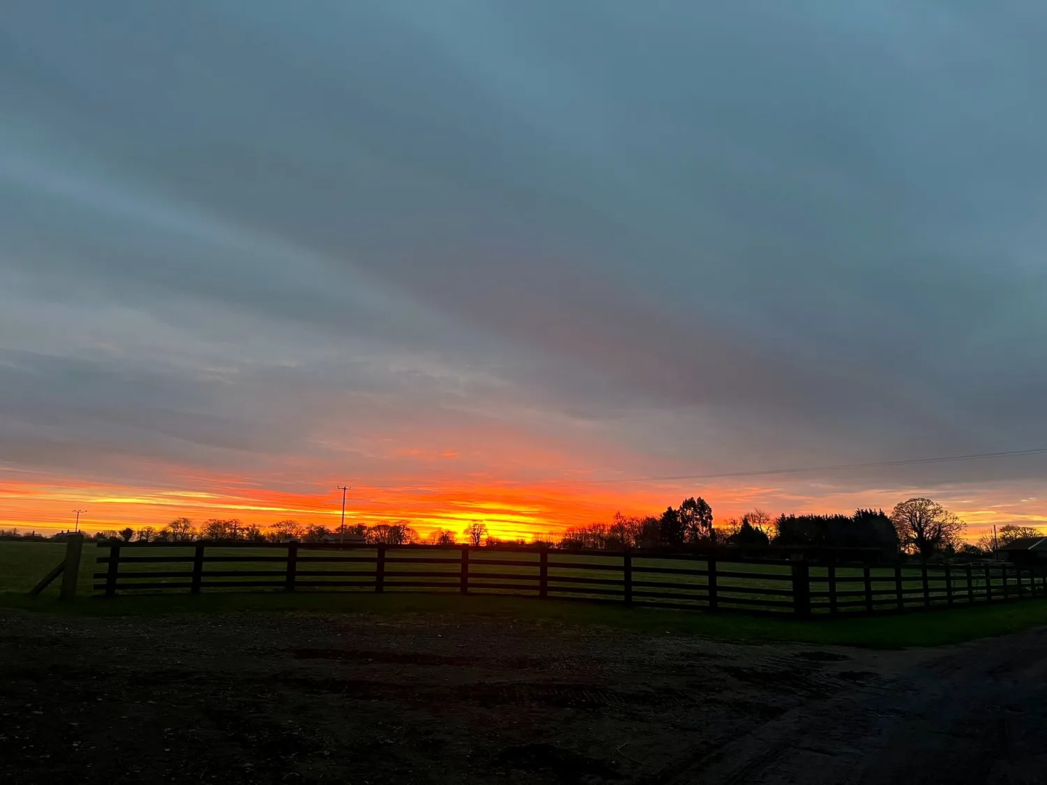 Golden-hour light across the paddocks at Shadfen Park Farm, Morpeth
